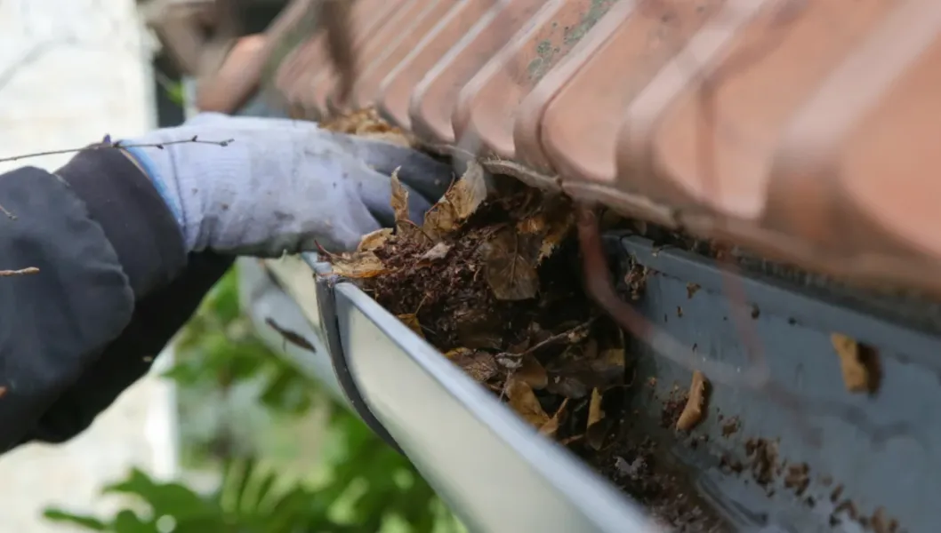 Limpeza de Caleiras e Algerozes