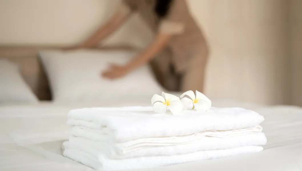 Limpeza de Alojamentos Locais e Empreendimentos Turísticos