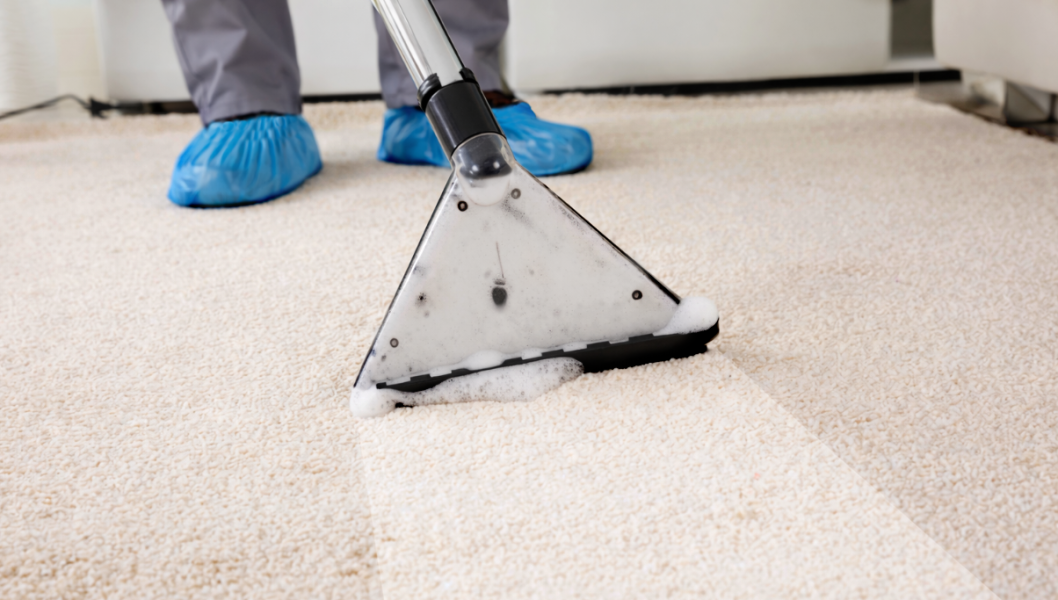 Limpeza de Carpetes, Alcatifas e Tapetes