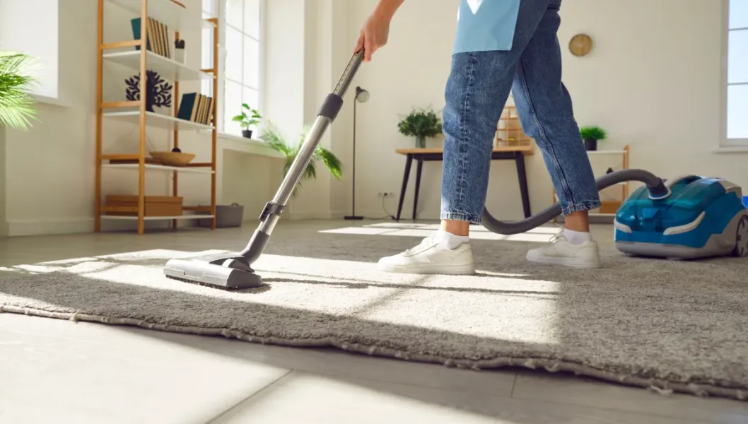 Limpeza Geral de Habitações