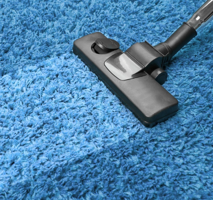 Limpeza Profissional