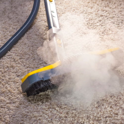 Limpeza de Carpetes - Inova Clean Services