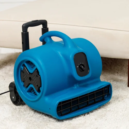 Limpeza de Alcatifas - Inova Clean Services